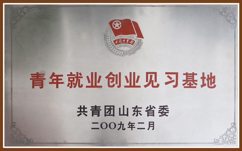 九五至尊VI-老品牌值得信任!