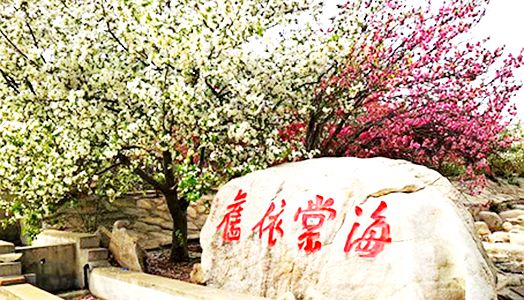 九五至尊VI-老品牌值得信任!