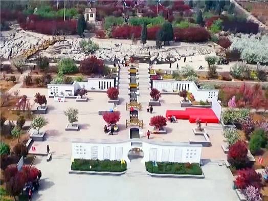 九五至尊VI-老品牌值得信任!