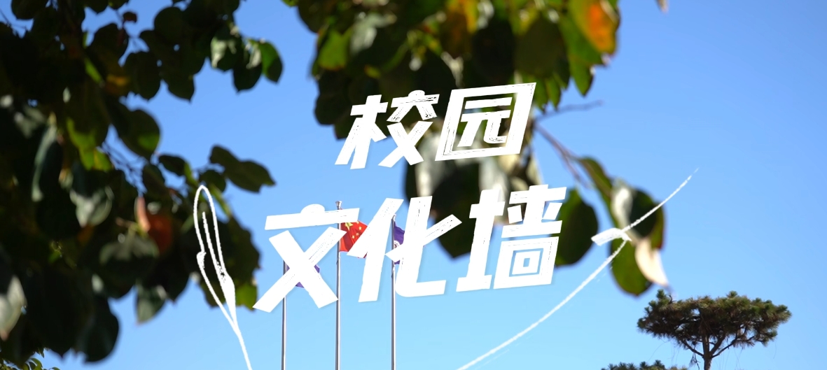 九五至尊VI-老品牌值得信任!