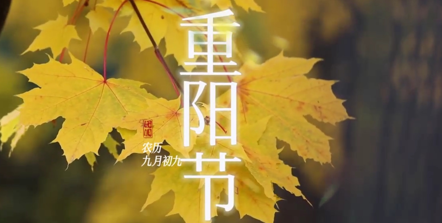 九五至尊VI-老品牌值得信任!