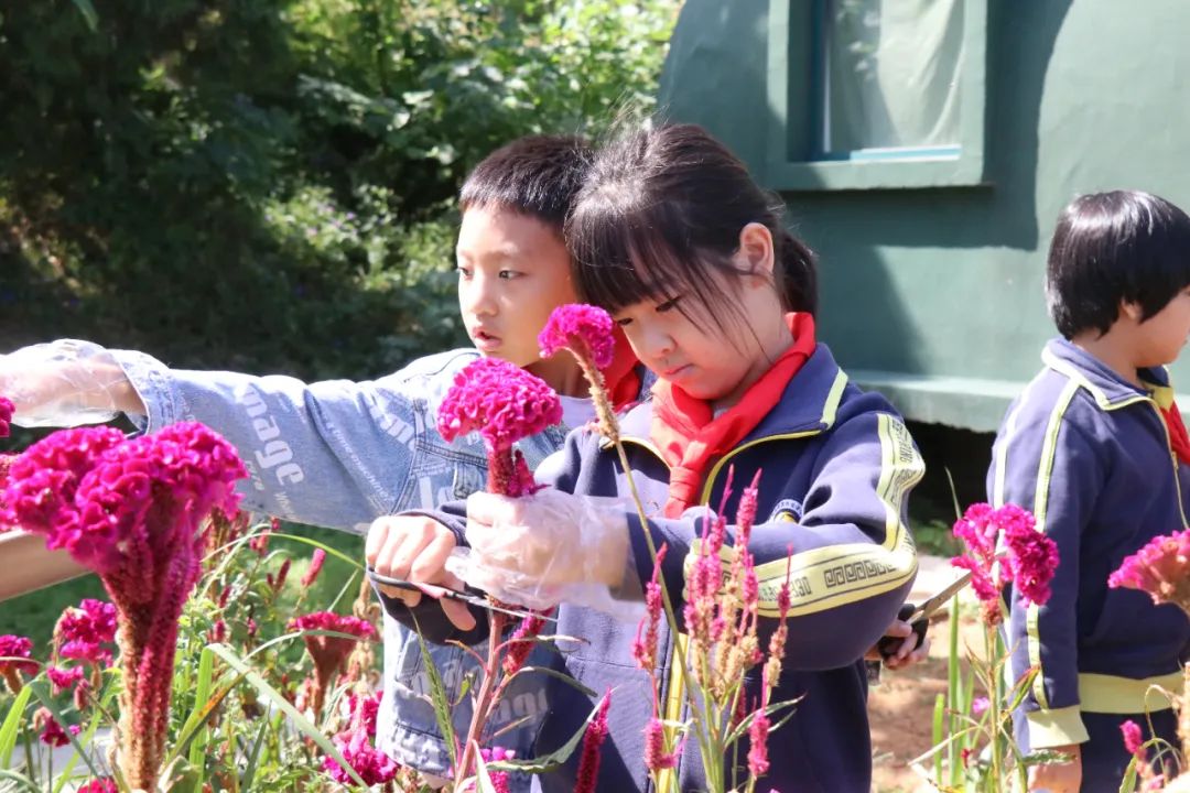 九五至尊VI-老品牌值得信任!