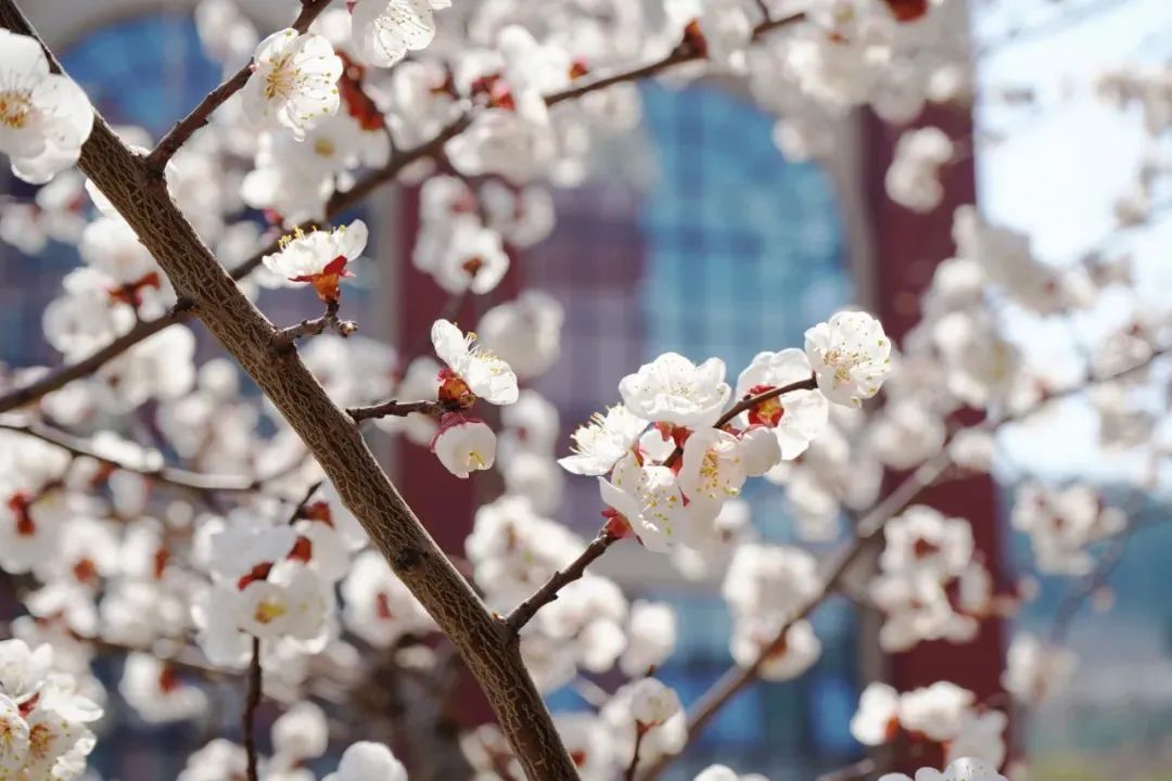 九五至尊VI-老品牌值得信任!