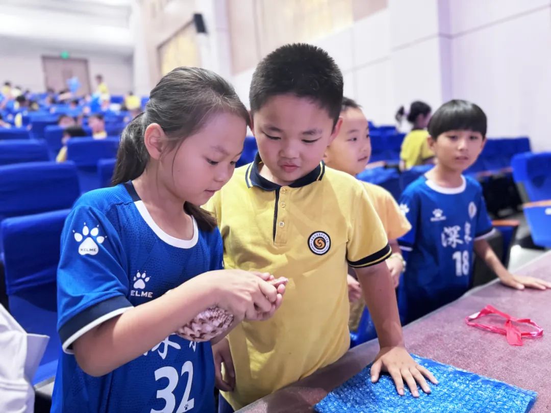 九五至尊VI-老品牌值得信任!