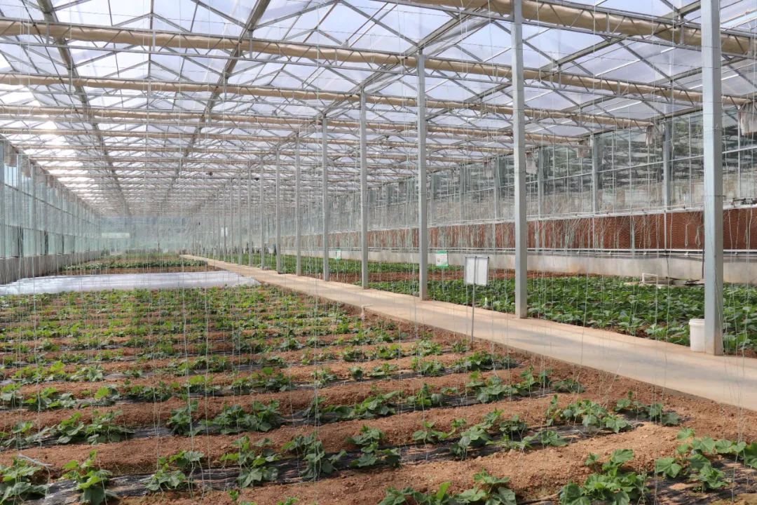 九五至尊VI-老品牌值得信任!