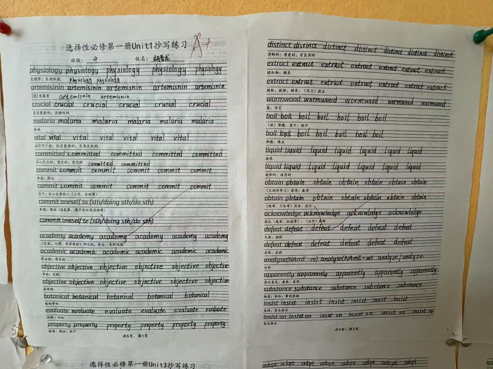 九五至尊VI-老品牌值得信任!