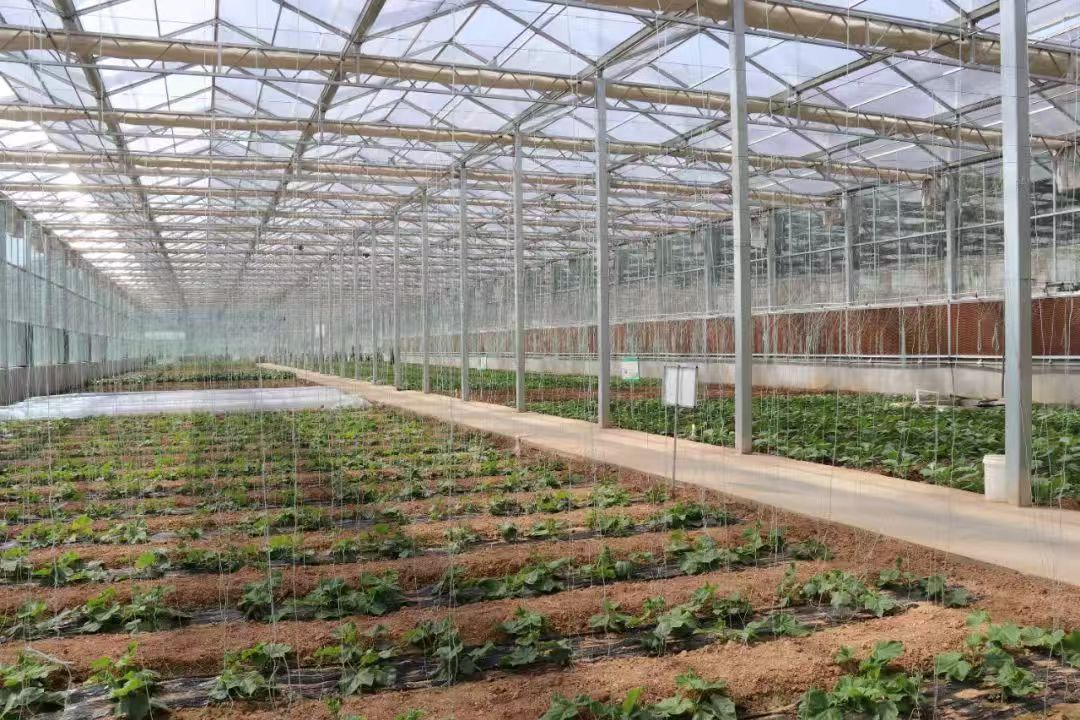 九五至尊VI-老品牌值得信任!